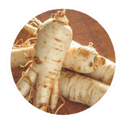 Ginseng